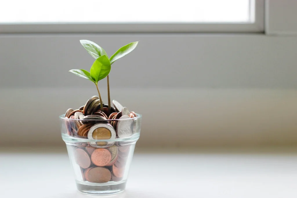 planta-dinero-valor real-resultados